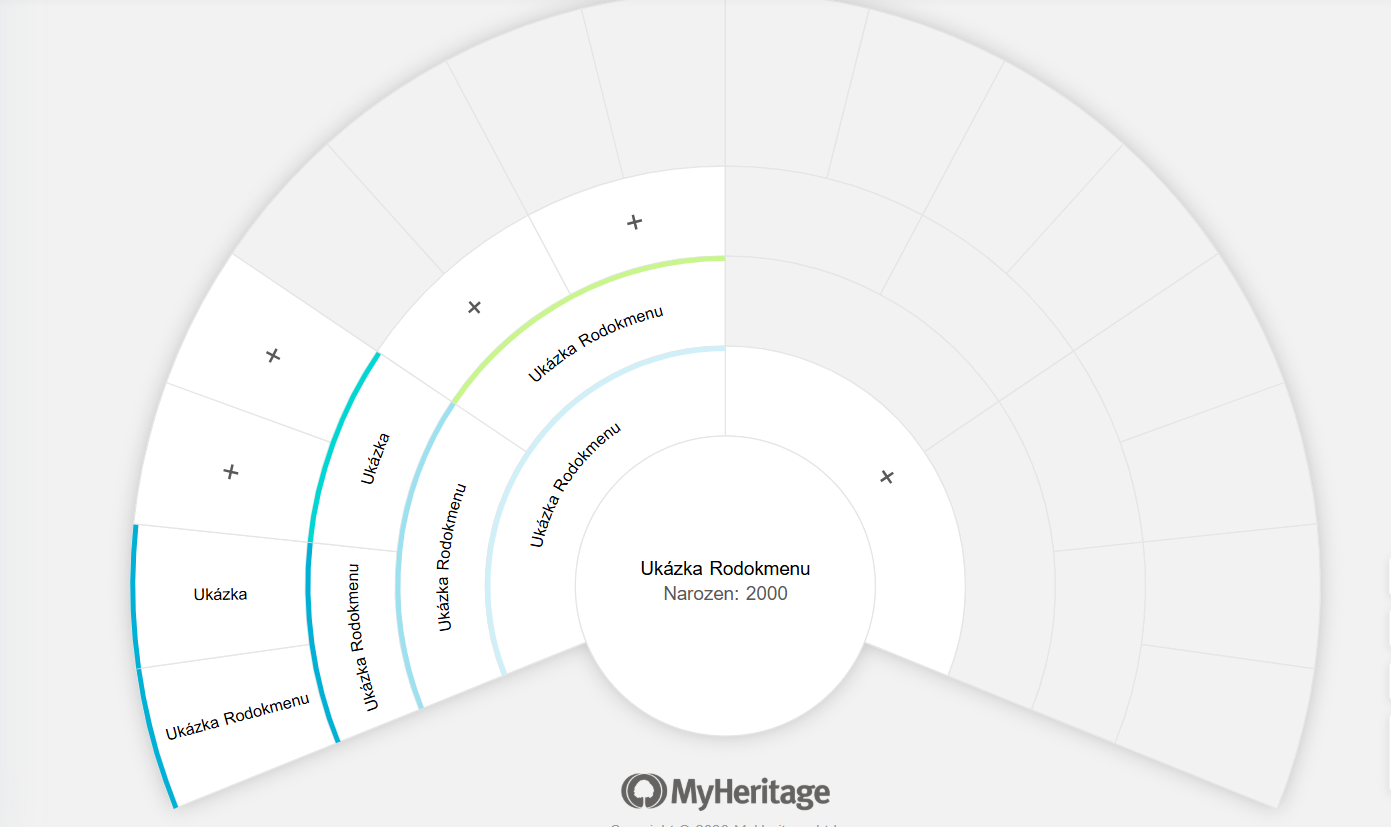 Obrázek je pouze ilustrační. Zobrazuje 4 generace otcovské linie.