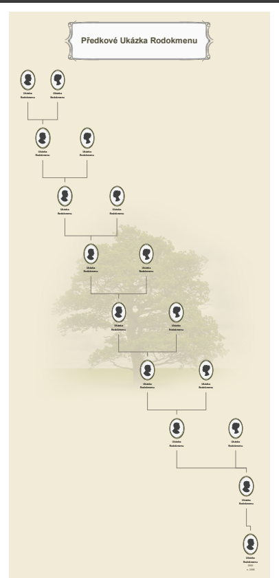 Obrázek je ilustrační