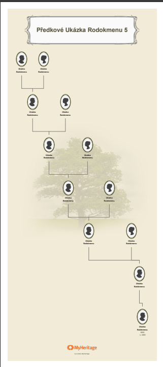 Obrázek je ilustrační